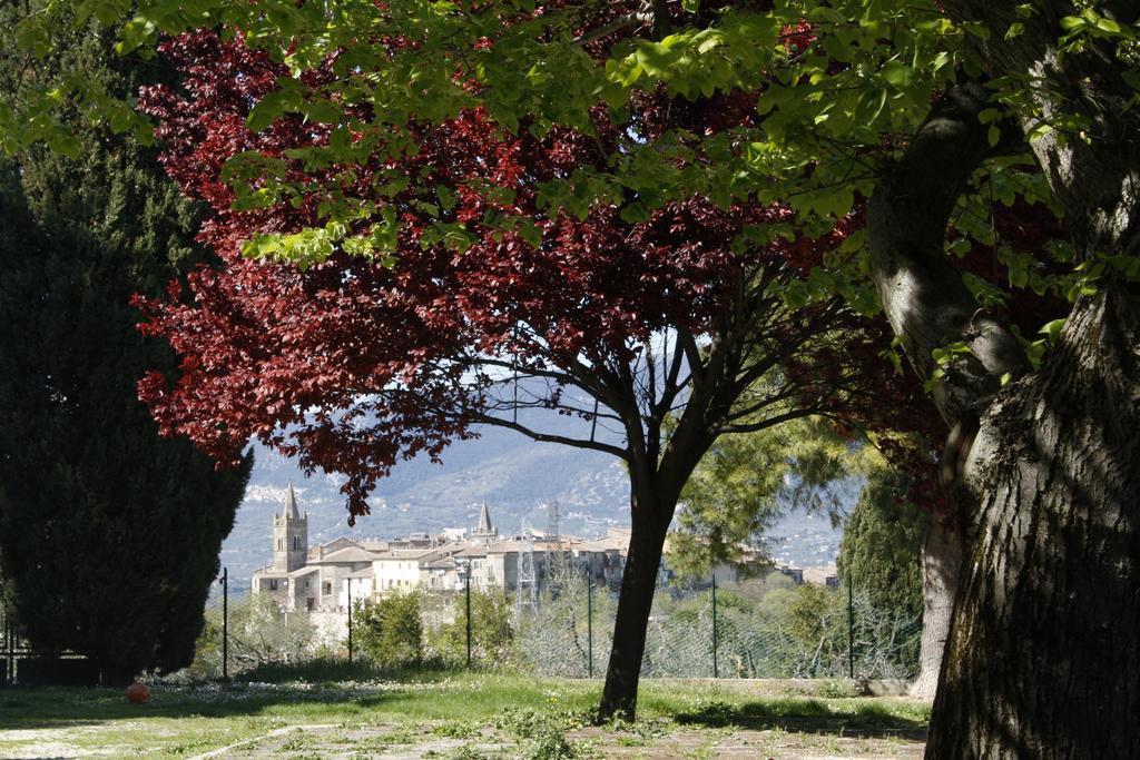 Gasthaus Le Storie Di Bambu Terni Exterior foto